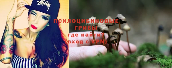 МДПВ Богородицк