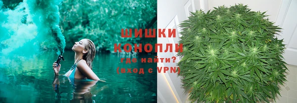 МДПВ Богородицк