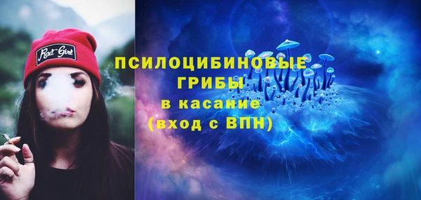 МДПВ Богородицк