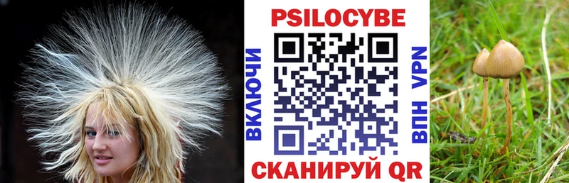 Псилоцибиновые грибы прущие грибы  Староминская 